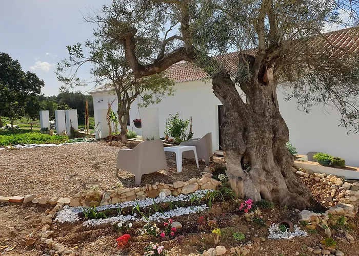 Monte Das Acoteias - Agroturismo