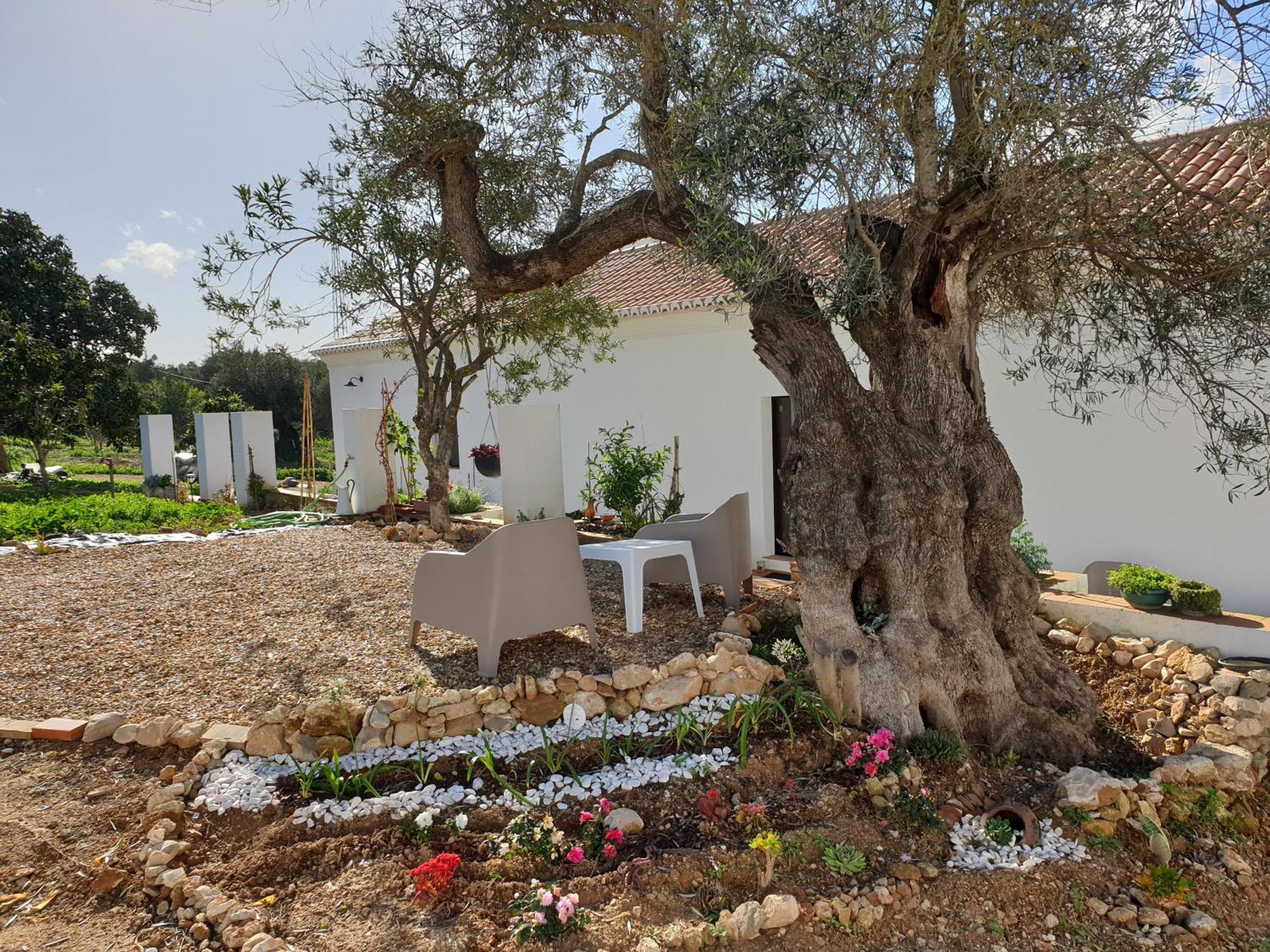 Monte Acoteias - Farm stay