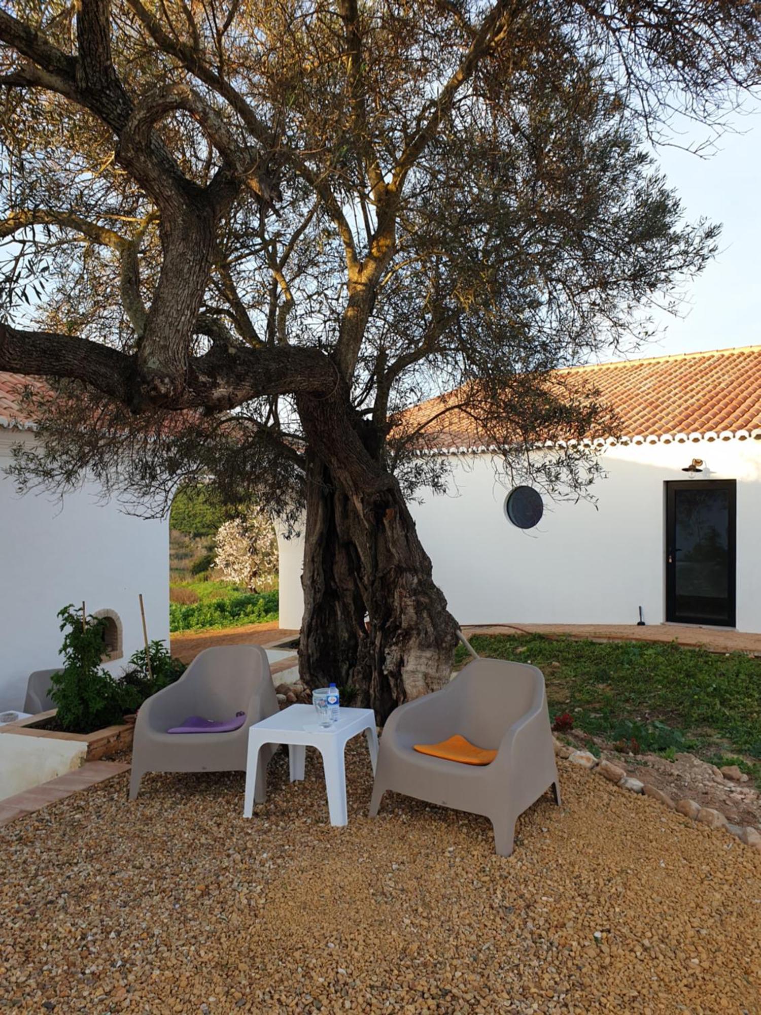 Monte Acoteias - Tavira